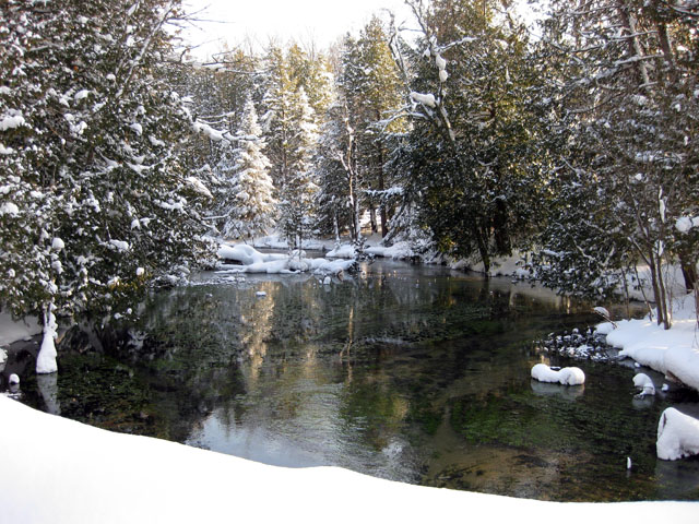 2009Jan18__Mixed Bag__0018.jpg